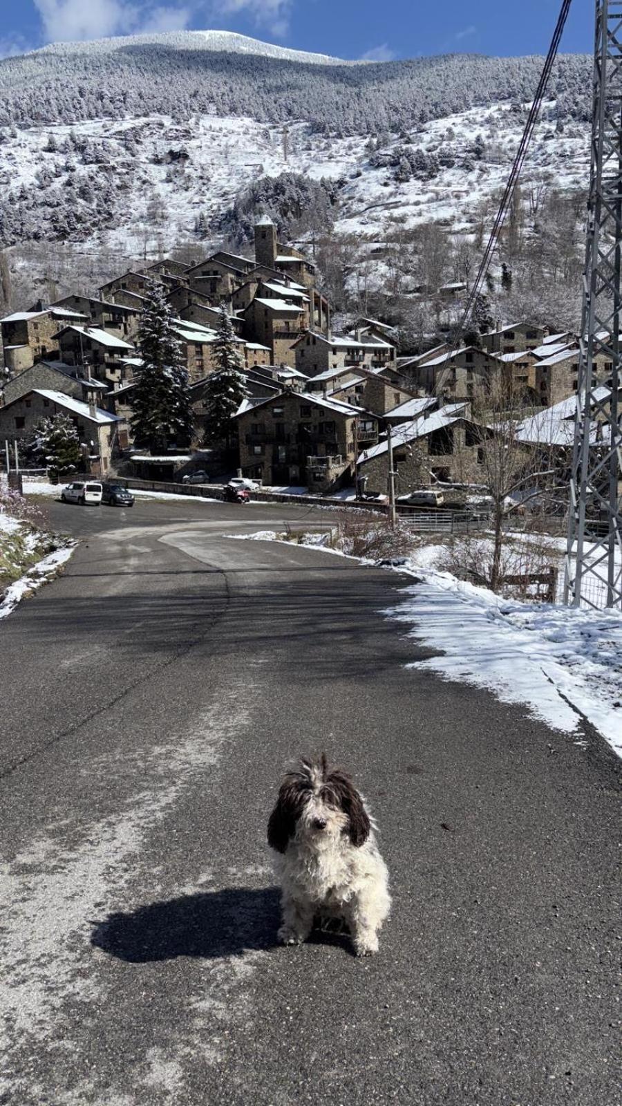 Hotel Valls Valira Os de Civís Exteriér fotografie