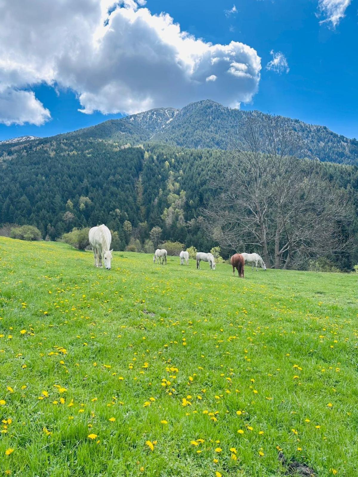 Hotel Valls Valira Os de Civís Exteriér fotografie